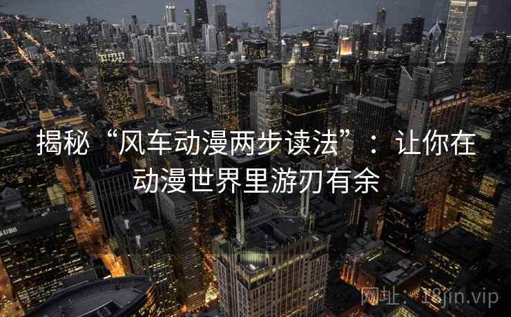 揭秘“风车动漫两步读法”：让你在动漫世界里游刃有余